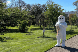 Image of the Easter Bunny in the Walled Garden holding an Easter basket on a sunny day