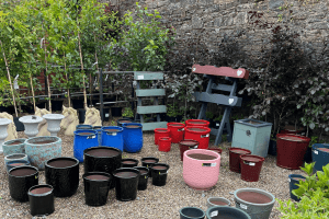 Images of plants and pots on display in our garden centre at Vandeleur Walled Garden and Visitor Centre 2025.