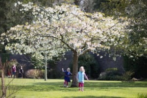 Kids in Vandeleur Gardens Kilrush