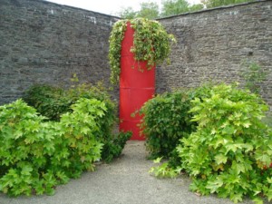 Red Door Vandaleur Garden