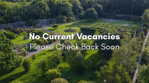 No Current Vacancies