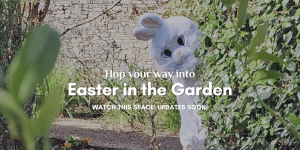 Easter at Vandeleur Walled Garden Event Promo 2025