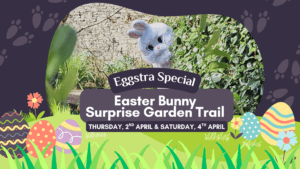 2026 Easter Bunny Trail Activity Promotional Image with Easter Bunny in Garden and colourful eggs
