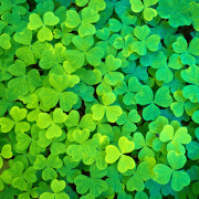 St. Patrick's Day Weekend Trad Concert