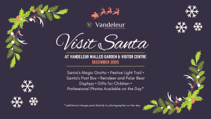 Visit Santa December 2025 Graphic