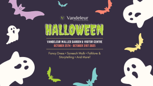Halloween at Vandeleur Walled Garden & Visitor Centre from 25th - 31st October 2025