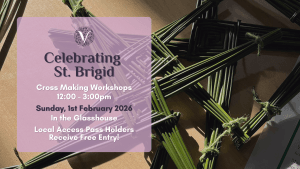 Promotional poster for St. Brigid's Day Cross Making workshop on 1st of February 2026. Image of green Brigid's Crosses from rushes on a sunlit table. Poster with workshop details: 1st February in Glasshouse from 12pm-3pm. General Admission Applies. Local Access Pass Holders complementary entry.