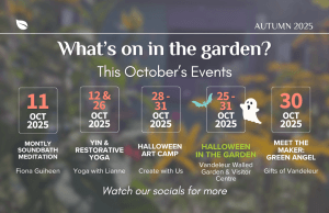 October events calendar for Vandeleur Walled Garden & Visitor Centre. Text reads: “Throughout the month of October, we’re delighted to bring you a range of events to enjoy at Vandeleur Walled Garden & Visitor Centre. Saturday, 11th October: Monthly Soundbath with Fiona Guiheen at 11:00am. Sunday, 12th October and Sunday, 26th October: Yin & Restorative Yoga with Lianne from 10:00am to 12:00pm. Tuesday, 28th October to Friday, 31st October: Halloween Art Camp with Create with Us. Saturday, 25th October to Friday, 31st October: Halloween in the Garden with Vandeleur Walled Garden & Visitor Centre. Thursday, 30th October: Meet the Maker with Green Angel in Gifts of Vandeleur. Every Saturday at 9am: Vandeleur Parkrun. Please note that many of these offerings such as Soundbaths, yoga classes, and art classes come through our partners and require booking directly with the parties involved. We look forward to welcoming you to the garden!