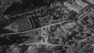 Image of Vandeleur Walled Garden & Visitor Centre with spider webs in black and white.