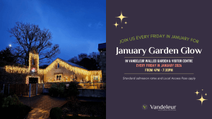 Promotional poster for January Garden Glow every Friday in January 2026. Image of Sparkling lights on the walls of Vandeleur Walled Garden & Visitor Centre.
