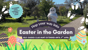 EXTENDED Self Guided Clue Hunt promotion for Easter in the Garden 2026. Picture of Easter Bunny with Basket in the arboretum