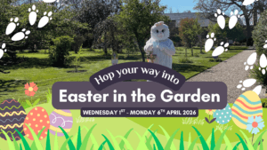 Self-guided Easter Clue Hunt Promotional Image Easter Bunny with Basket and colourful eggs.