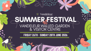 Summer Festival 2026 Poster
