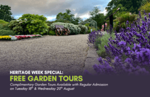 An image of a path at Vandeleur Walled Garden and Visitor Centre with lavender in the foreground and text overlaid advertising Heritage Week Special: Free Guided Tour with Regular Admission.