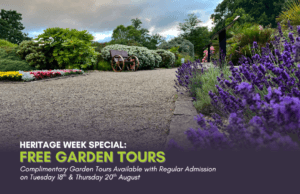An image of a path at Vandeleur Walled Garden and Visitor Centre with lavender in the foreground and text overlaid advertising Heritage Week Special: Free Guided Tour with Regular Admission.