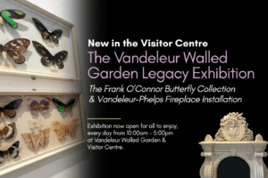 Image of Frank O'Connor Butterfly Collection and Vandeleur-Phelps Fireplace with promotional text regarding the exhibition overlaid.